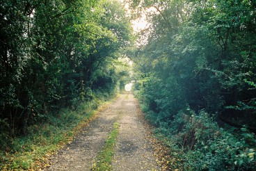 Lane up to Woodpiece Cottage