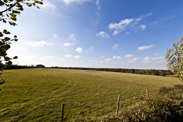 View From The Side Of Cottage